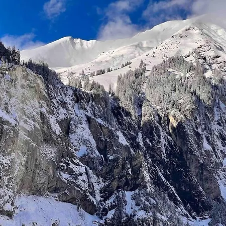 Apartment Mountain View Kandersteg