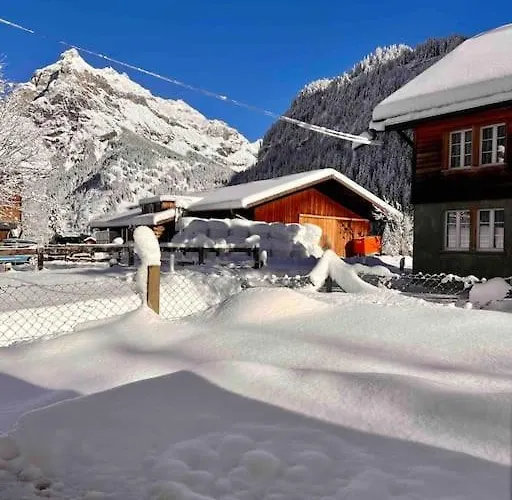 Mountain View *