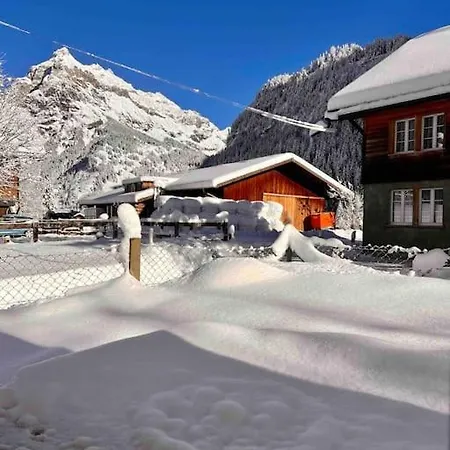 Mountain View *