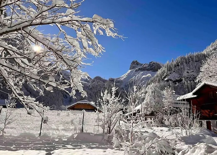 公寓 Mountain View 坎德施泰格